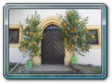 DSCN0190